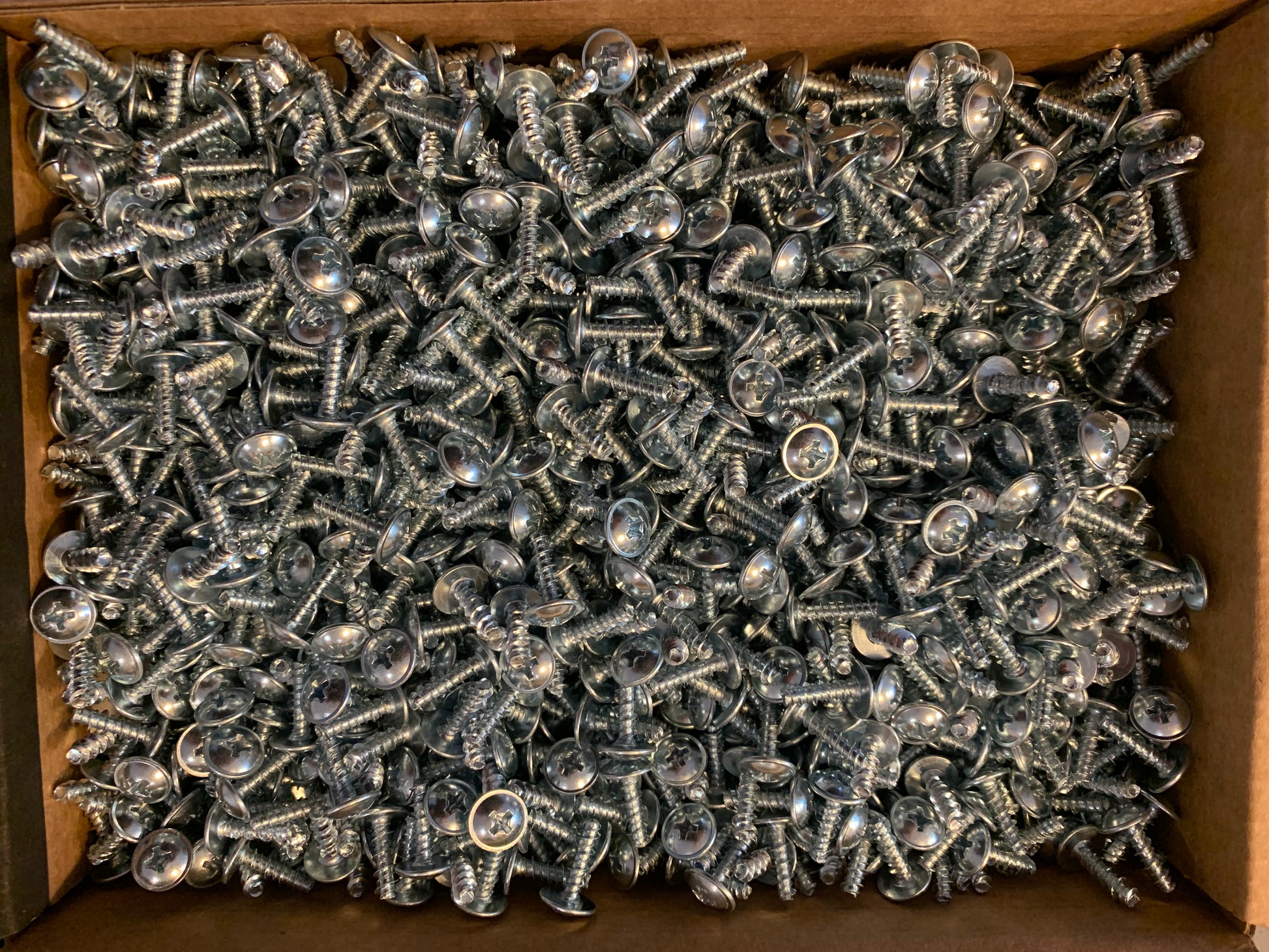 Electrical Panel Screws M3 x 13mm - 1000 Pack - Meter Depot